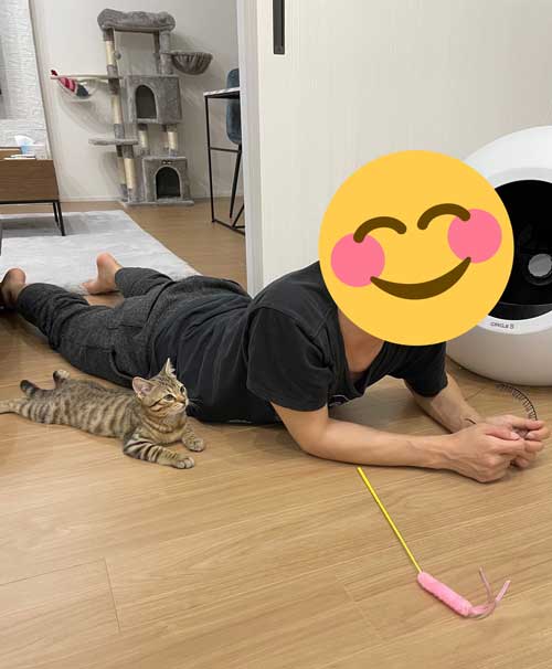 子猫 3カ月 ビフォーアフター 成長 生後5カ月