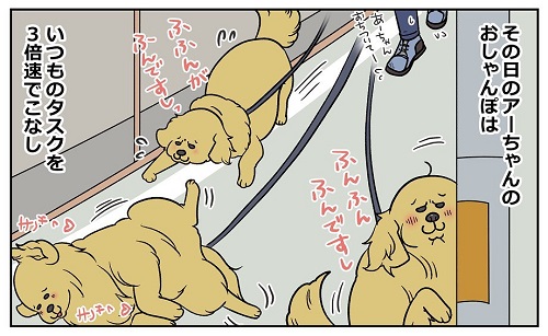 犬