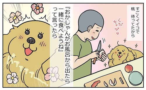 餅付きなこ