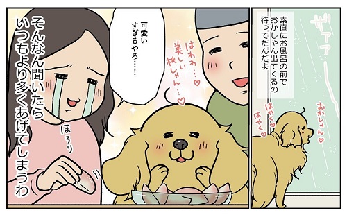 餅付きなこ