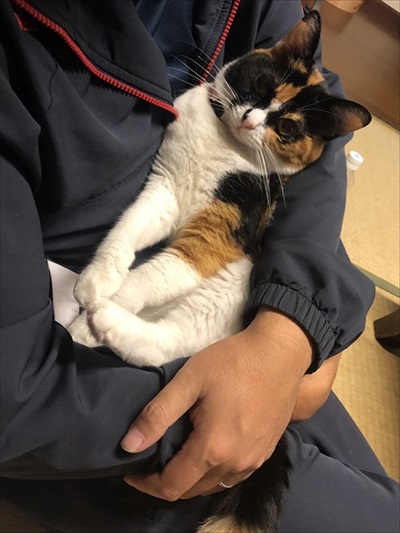 二度見した黒猫さん