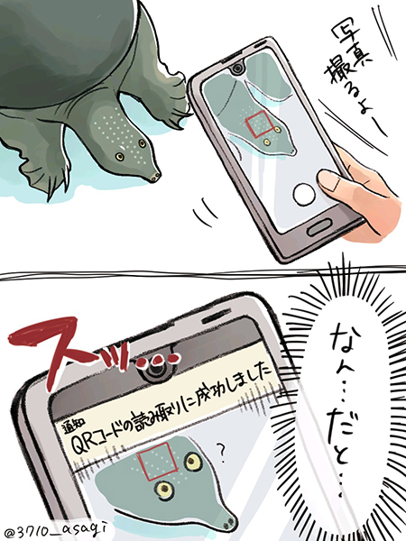 スッポンQRコード