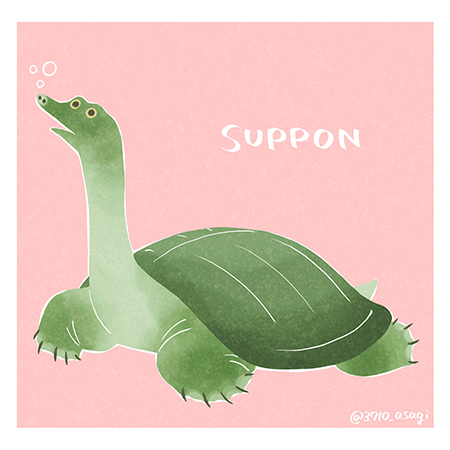 デフォルメスッポンイラスト