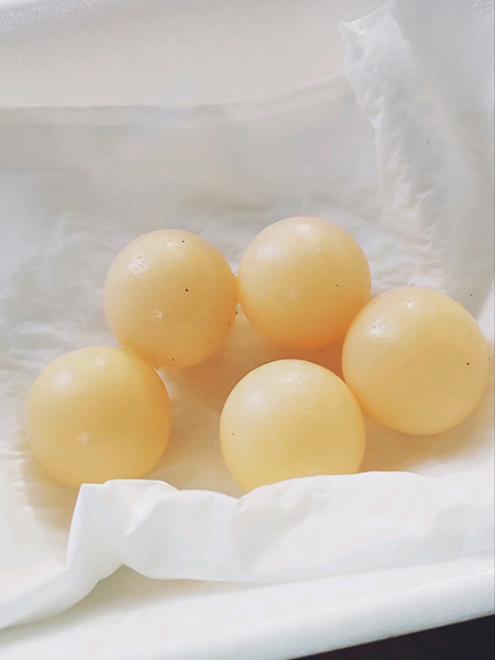 スッポンさん卵