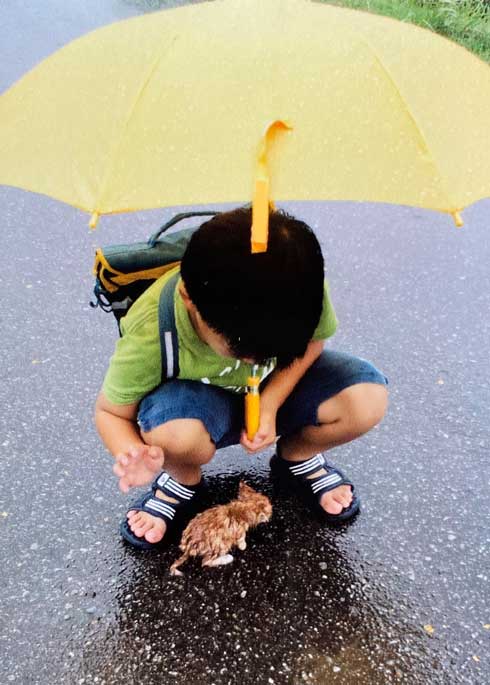 息子と猫