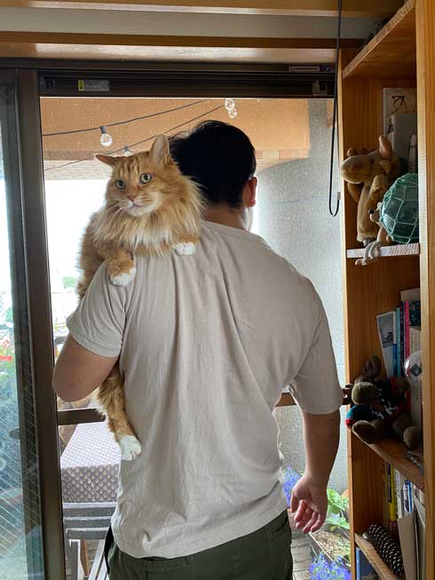 保護猫 息子 出会い 記念日 10年 ピョンタ