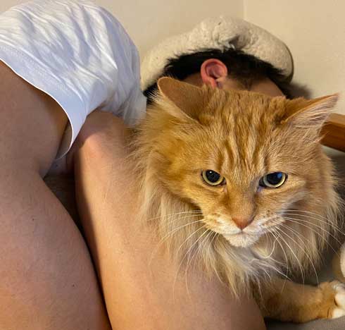 保護猫 息子 出会い 記念日 10年 ピョンタ