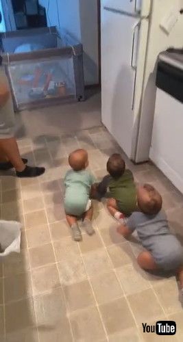 「Parent Struggles to Keep Triplets Out of Open Refrigerator as They Keep Crawling Into it - 1238905」