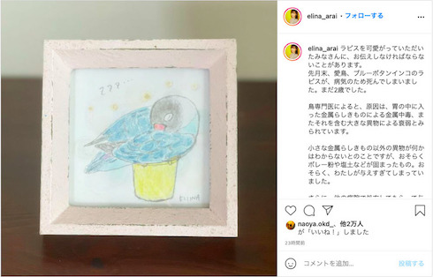 新井恵理那 インコ 病死