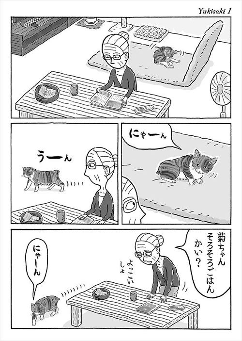 猫