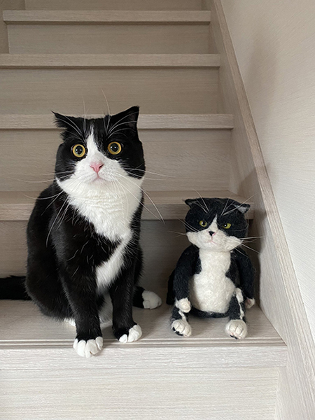 2021年8月版の比較写真