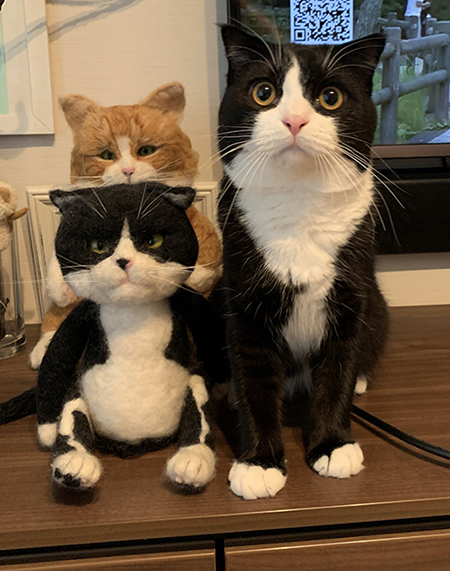 2020年8月29日の比較写真