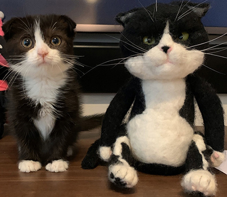 2020年2月15日の比較写真トリミング