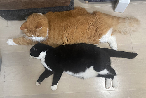 そうすけくんとまめパパ