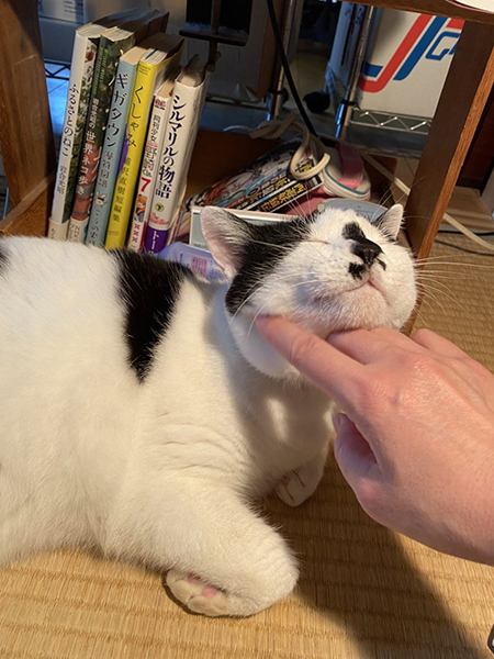 うっとり顔まるちゃん