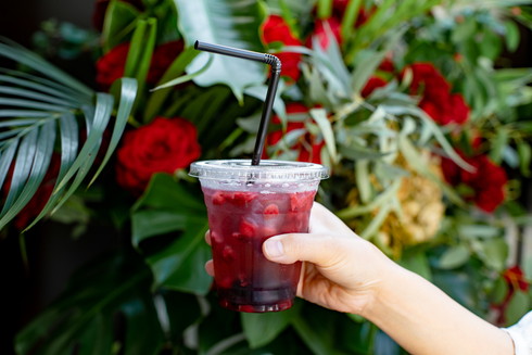 ウォーキングバイシクル