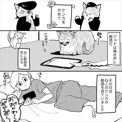 この猫が居れば戦争はなくなるのでは