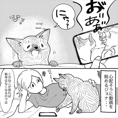 この猫が居れば戦争はなくなるのでは