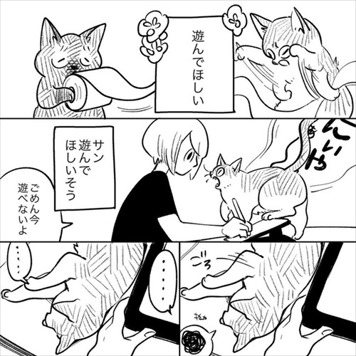 この猫が居れば戦争はなくなるのでは