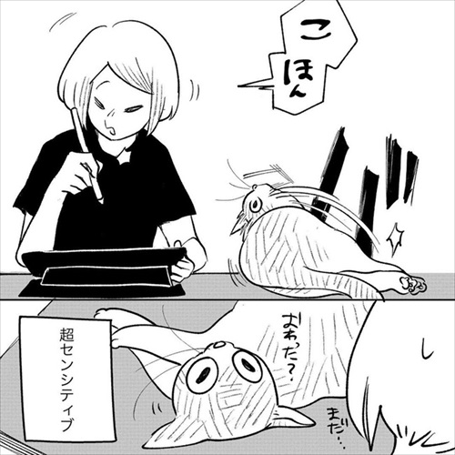 この猫が居れば戦争はなくなるのでは