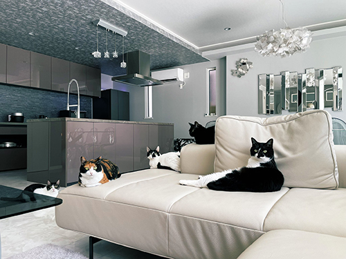 洗練されたフォーメーション