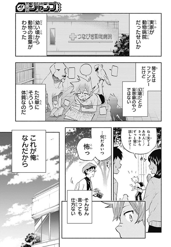 競馬漫画「白帝のエリカ」動物の声が聞こえる素人騎手が有能だけど人嫌いな馬に挑む　言葉の壁を越えた人馬一体の姿が感動的