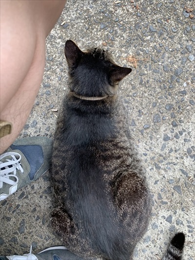 衝撃の映像が撮れた