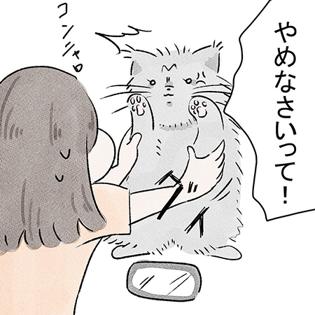 こっちゃんご乱心5