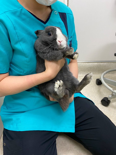 爪切りがんばったアメちゃん