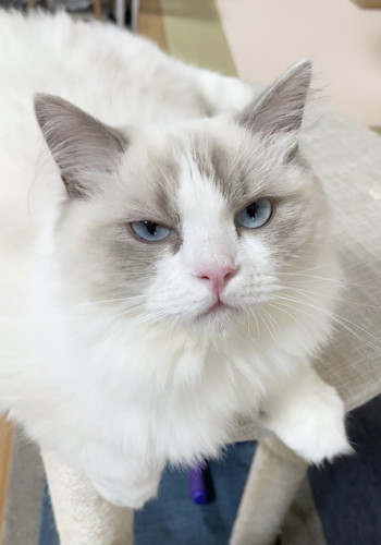 お尻洗われたひなちゃん