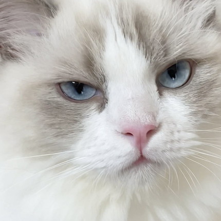 お尻洗われたひなちゃん