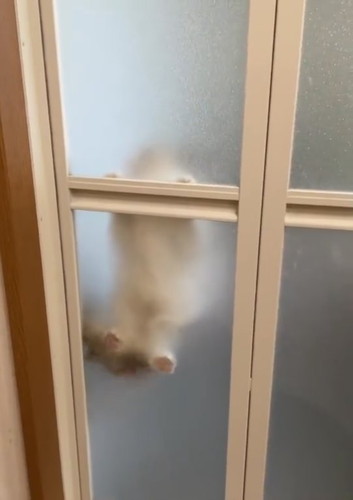 お尻洗われたひなちゃん