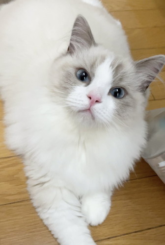 お尻洗われたひなちゃん