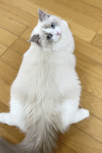 お尻洗われたひなちゃん