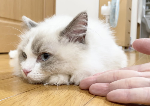 お尻洗われたひなちゃん