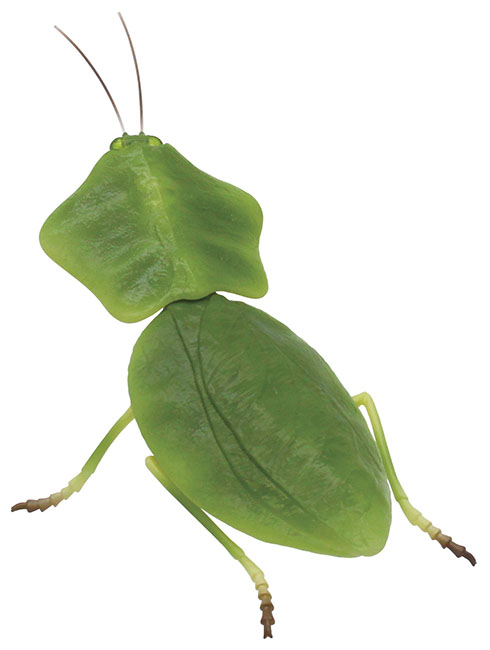 コノハカマキリのカプセルトイ・後から見たところ