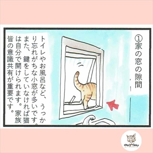 猫の脱走に気を付けよう
