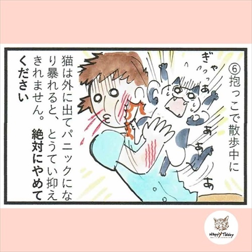 猫の脱走に気を付けよう