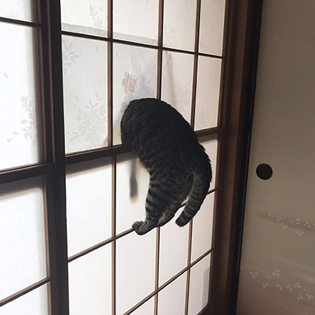 つきささるシンくん