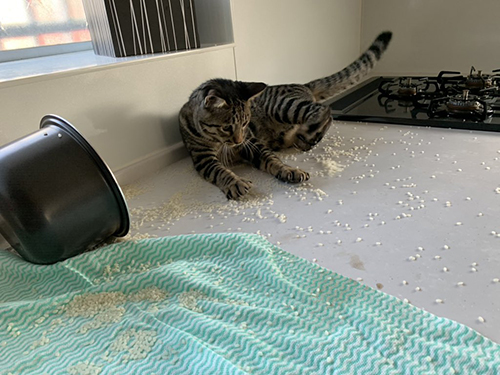 お米をひっくり返した図