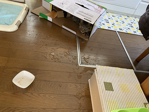 水をぶちまいた図