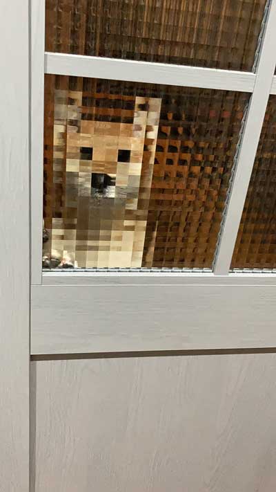 柴犬 マイクラ お出迎え モザイク