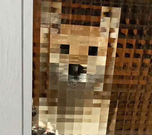 柴犬 マイクラ お出迎え モザイク