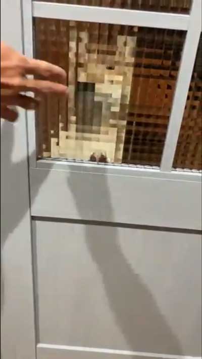 柴犬 マイクラ お出迎え モザイク