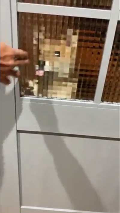 柴犬 マイクラ お出迎え モザイク