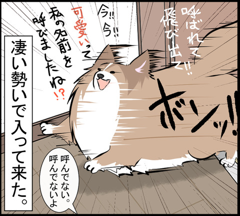 「可愛い」が第二の名前だと思ってる説4