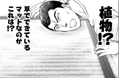 おとうふ次元特別編