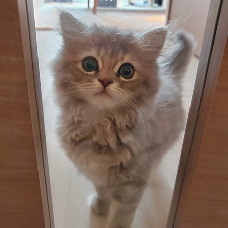 小さいマリーちゃん