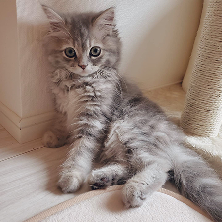 セクシーポーズマリーちゃん