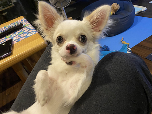 上目づかいチュパ